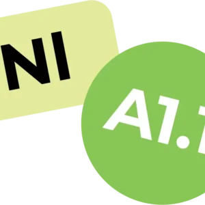 Голландский A1.1 /26.11.25/ онлайн