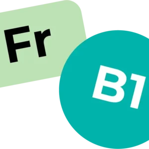 French  B1 /30.10.25/ online