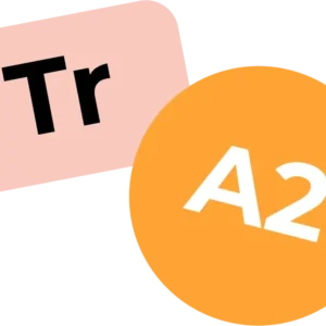 Турецкий A2 /29.10.25/ онлайн