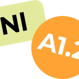 Holandiešu valoda A1.2 /30.10.25/ online